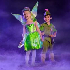 Disney Tinker Bell Costume For Kids – Peter Pan -Dinei Clothing Shop 2841040739139 4