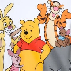 Disney Winnie The Pooh And Pals Pullover Sweatshirt For Adults -Dinei Clothing Shop 5201059750212 3