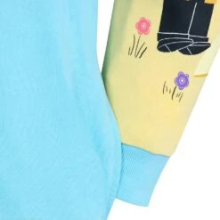 Disney Up Loungefly Pullover Hoodie For Adults -Dinei Clothing Shop 5301105710086 4