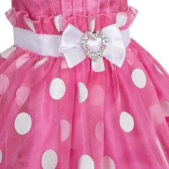 Disney Minnie Mouse Adaptive Costume For Girls – Pink 16 Disney Minnie Mouse Adaptive Costume For Girls – Pink -Dinei Clothing Shop 5502040739315 6