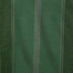 Disney Bruno Costume For Kids – Encanto 15 Disney Bruno Costume For Kids – Encanto -Dinei Clothing Shop 5502041409248 6