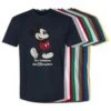 Adults' Walt Disney World Standing Mickey Mouse T-Shirt – Customized