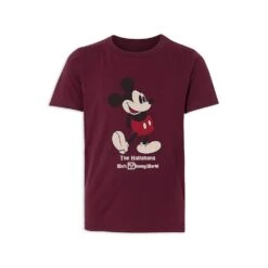Kids' Walt Disney World Standing Mickey Mouse T-Shirt – Customized -Dinei Clothing Shop 7407055825934 7